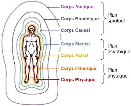 Les corps subtils